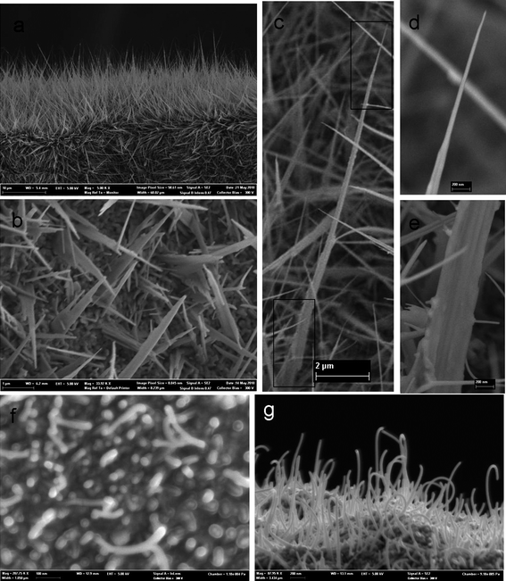 FESEM images of the ZnO nanotowers fabricated on Zn foil at 650 °C for 2 h: (a) low magnification view of the ZnO nanotowers; (b) ZnO nanotowers fabricated on glass slide at 650 °C; (c) ZnO nanotower with high aspect ratio; (d and e) the zoom-in view of the basal and tip region of highlighted in c shows a large “base-tip ratio”; (f) the initial stage of growth with nanoparticles and (g) ZnO nanowires formed at 400 °C.