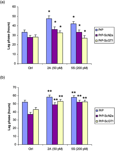 Effect of the nanoparticles on fibril formation and ASA. Lag phase of amyloid-formation kinetics is compared between (a) SpectraMax M5 and (b) Gemini EM instruments (Molecular Devices) in the assays, using full-length MoPrP(23–230) and amyloid seeding with ScN2a- and ScGT1-PTA precipitated protein in the presence of coated gold nanoparticles. 50 pM of 2A nanoparticles or 200 pM of 5S nanoparticles were added to each well. The Student's t-test (two-tailed) was used to determine significant differences among measurements (n = 4). *P < 0.05 and **P < 0.01.