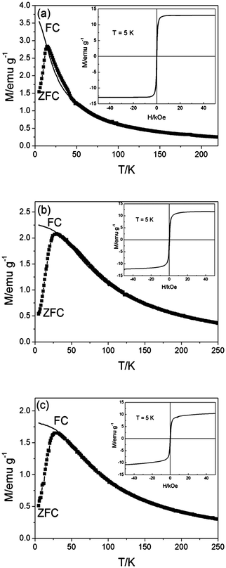 ZFC (symbols) and FC (line) magnetization curves of (a) Fe3O4 NPs in hexane, (b) Fe3O4-Au NPs in water and (c) thiolated DNA conjugated to Fe3O4-Au NPs in water, as a function of temperature. The hysteresis curves measured at 5 K are shown in the insets.