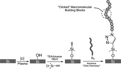 Scheme describing the functionalization of the silicon surface with alkyne groups followed by the “clicking” of the polyelectrolyte chains.