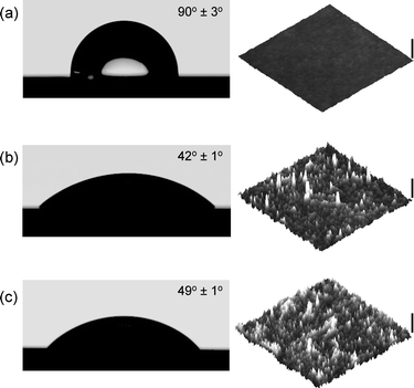 
            Atomic force imaging and contact angle measurements corresponding to: (a) alkyne-functionalized Si surface, (b) PSSNa–N3-modified Si surface and (c) PMETAC–N3-modified Si surface.