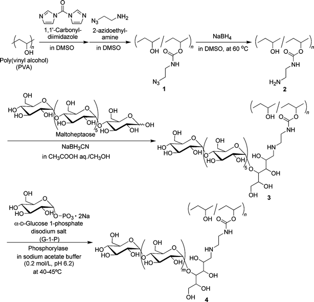Chemoenzymatic synthesis of amylose-grafted PVA (4).