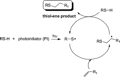 The mechanism for the hydrothiolation of a CC bond in the presence of a photoinitiator and hν.