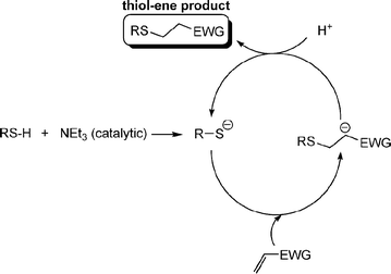 The proposed base-catalyzed mechanism for the hydrothiolation of an activated CC bond.