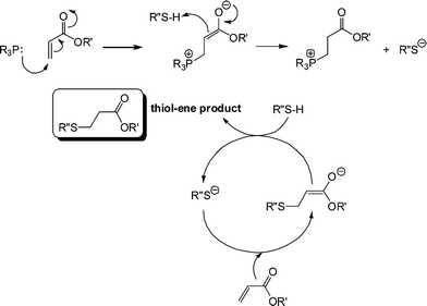 Proposed anionic chain mechanism for the hydrothiolation of an acrylic CC bond under phosphine catalysis.