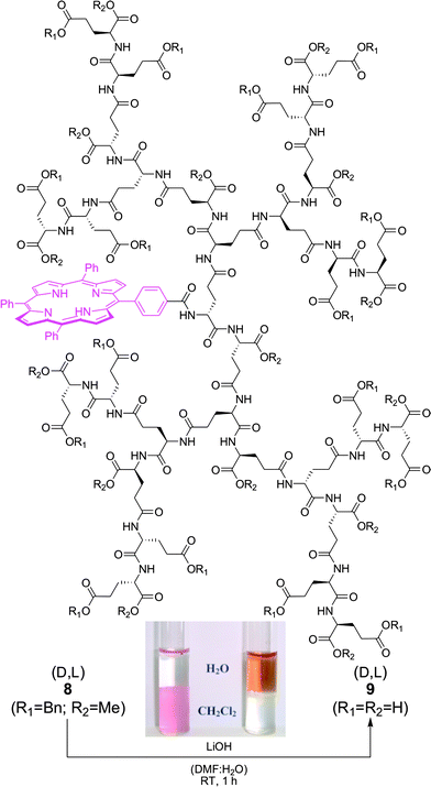 The G4 dendron, carrying a porphyrin focal point, is insoluble in water in its completely protected form 8 (left) while saponification provides the fully deprotected derivative 9 with good water solubility (right).