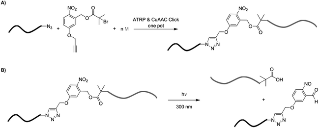 A) General strategy for the synthesis of block copolymers with a photocleavable junction between the blocks by one-pot simultaneous ATRP–CuAAC “click” reaction procedures. B) Products obtained after photoirradiation of such copolymers.