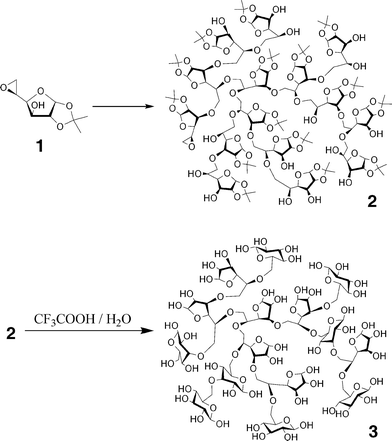 Polymerization of 5,6-anhydro-1,2-O-isopropylidene-α-d-glucofuranose (1) and synthesis of hyperbranched 5,6-glucan (3) by hydrolysis of polymer 2.