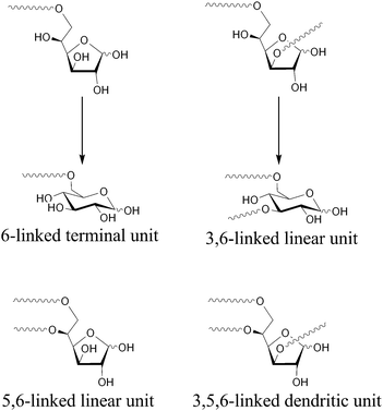 Possible isomerizations of polymer 3 to produce the d-glucopyranose units.