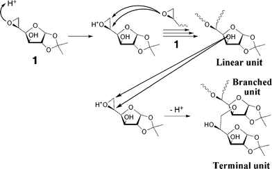 Proposed mechanism for the cationic polymerization of 1.