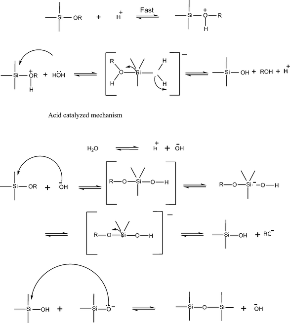 The reaction mechanisms for acid and base catalyzed hydrolysis condensation of alkoxy silane.