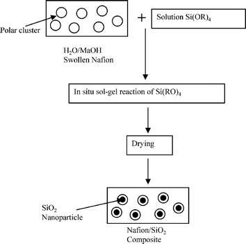 A schematic presentation of the preparation of a Nafion/SiO2 composite.41