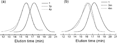 
          GPC profiles of (a) 1, 3p, and 4p and (b) 1, 3m, and 4m.