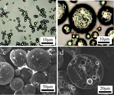 
          Light microscopy images of (a) primary w/o emulsion stabilized by silicananoparticles and (b) multiple w/o/w emulsion stabilized by Fe2O3nanoparticles from re-emulsification of primary w/o emulsion; SEM images of (c) nanocomposite multihollow PS microspheres and (d) one of microspheres being cut into halves.