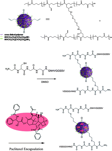 Synthesis of a targeted nanoparticle drug delivery system involving thiol-ene ‘click’ chemistries and drug loading via developed emulsification process after post-modification.