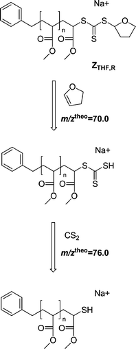 Dissociation pathway and theoretical masses of the neutral losses during the collision induced dissociation of the intermediate THF-trithiocarbonate carrying poly(methyl acrylate) ZTHF,R. MS2 of ZTHF,R leads to loss of dihydrofuran (m/ztheo = 70.0, m/zmeas = 69.9), MS3 of the product species leads to loss of a CS2 molecule (m/ztheo = 76.0, m/zmeas = 75.8) confirming the structure of the intermediate.