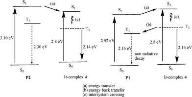 Relative energy level diagram of the P1–P2 and Ir-complex 4.