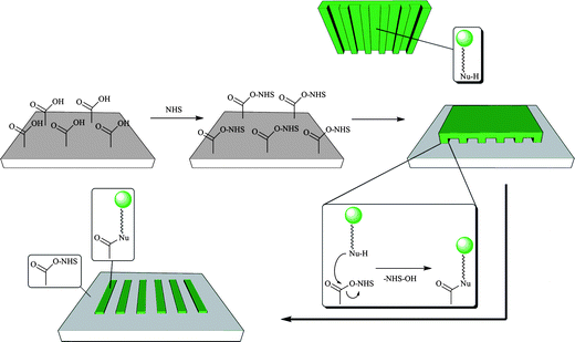 μCP of nucleophilic inks (typically: amines) on active ester derivatized polymer surfaces (typically: N-hydroxysuccinimide esters) leading to the formation of amide (peptide) bonds exclusively in the area of contact between stamp and substrate.