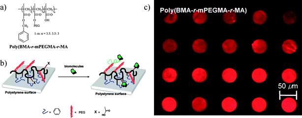 Grafting of a three-component polymer on polymer substrates by μCP. Copyright American Chemical Society, 2007.