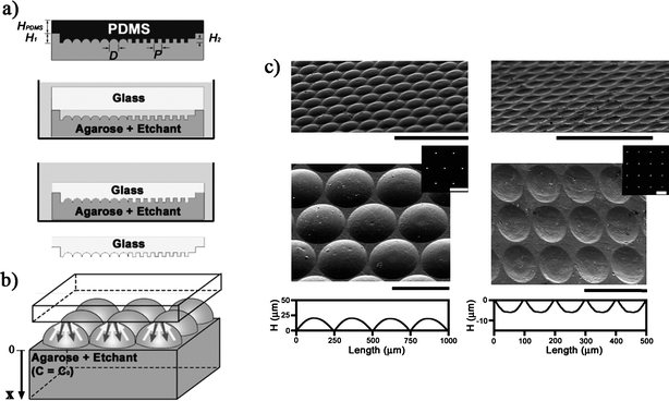 
            HF
            etching of glass substrates using agarose stamps. (a) An agarose stamp is made by casting agarose gel (10 wt% in water) against a master, soaked in an HF etchant/surfactant solution, inverted, and immersed in mineral oil. The substrate is placed on top of the stamp. When etching is complete, the substrate is removed, rinsed, and cleaned. (b) Microetching is a result of a two-way pump mechanism, in which the agarose continuously supplies the etchant (white arrows) to dissolve the substrate while absorbing the etching products (gray arrows) into the stamp. (c) Convex (left) and concave (right) microlenses etched in glass. Copyright: Wiley-VCH, 2006.