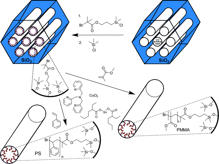 Grafting poly(methyl methacrylate) and polystyrene in the cylindrical mesopores of SBA-15 silica using activators regenerated by electron transfer (ARGET) atom transfer radical polymerization (ATRP).