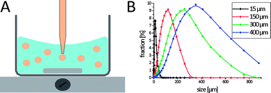 (A) A schematic representation of the preparation of polydisperse dex-HEMA microgels by an all aqueous dex-HEMA/PEG emulsification procedure. (B) Size distribution (as measured by laser diffraction) curves of dex-HEMA microgels obtained by varying the kinetic energy put into the emulsification process.