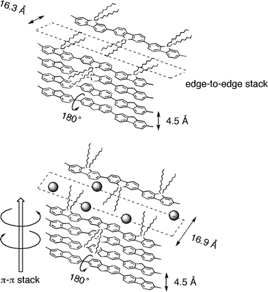 Proposed π–π stacking models of PF10 aggregates revealed by WAXD and CD/CPL experimental results.