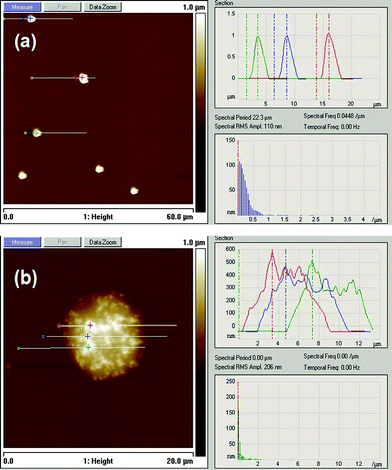 AFM height images of (a) DNA-functionalized polystyrene particles without linker and (b) self-assembly of particles in the presence of a complementary DNA linker.