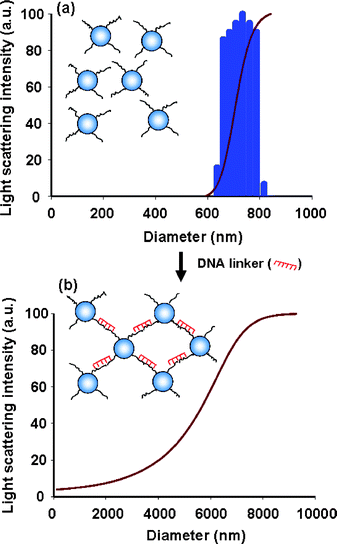 DLS histograms of (a) the uniform size distribution of DNA-functionalized polystyrene particle without linker and (b) the wide size distribution of aggregated particles in the presence of linker.