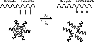 A schematic illustration of block copolymer micelles that can be reversibly dissociated and formed upon absorption of photons of two different wavelengths. The process is controlled by a reversible photoisomerization reaction of photochromic groups between two isomeric forms of different polarities. From ref. 150. Reproduced with permission of the Royal Society of Chemistry.