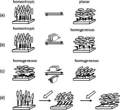 An illustrative representation of surface-assisted photoalignment control of LC molecules triggered by photochromic molecules tethered to a substrate surface. (a) Out-of-plane LC photoalignment between homeotropic and planar modes triggered by trans–cis photoisomerization of photochromic surface molecules upon alternate irradiation with nonpolarized light UV and visible light. (b) Out-of-plane LC photoalignment between homeotropic and homogeneous modes triggered by alternate irradiation with linearly polarized UV light and nonpolarized light. (c) In-plane photoalignment by irradiation with linearly polarized light. (d) Tilt-angle generation with slantwise photoirradiation. Reprinted with permission from ref. 65. Copyright (2000) American Chemical Society.