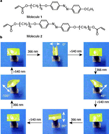 (a) Chemical structures of the LC monomer (molecule 1) and crosslinker (molecule 2) used for preparation of the LCE film; (b) photographic frames showing the precise control of the bending direction of a LCE film by linearly polarized light. Reprinted with permission from ref. 91. Copyright (2003) Nature Publishing Group.