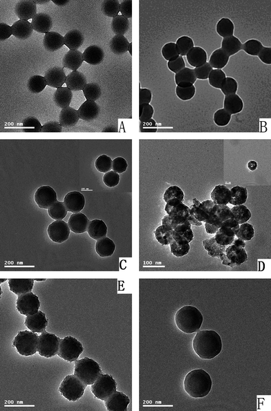 TEM micrographs of particles: (A) P(EGDMA-co-MAA); (B) P(EGDMA-co-MAA)/P(EGDMA-co-VPy); (C) P(EGDMA-co-MAA)/P(EGDMA-co-VPy)/TiO2; (D) Hollow titania spheres; (E) P(EGDMA-co-MAA)@P(EGDMA-co-VPy)/TiO2/PMBAAm tetra-layer composites; (F) P(EGDMA-co-MAA)@P(EGDMA-co-VPy)/TiO2/PEGDMA tetra-layer hybrids.