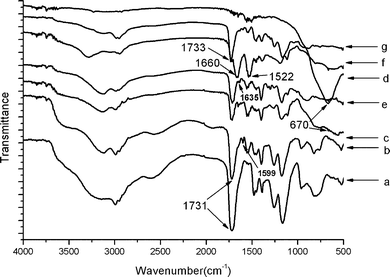 FT-IR spectra: (a) P(EGDMA-co-MAA); (b) P(EGDMA-co-MAA)/P(EGDMA-co-VPy); (c) P(EGDMA-co-MAA)/P(EGDMA-co-VPy)/TiO2; (d) hollow titania spheres; (e) P(EGDMA-co-MAA)@P(EGDMA-co-VPy)/TiO2/PMBAAm tetra-layer composites; (f) MPS-modified P(EGDMA-co-MAA)/P(EGDMA-co-VPy)/TiO2; (g) P(EGDMA-co-MAA)@P(EGDMA-co-VPy)/TiO2/PEGDMA tetra-layer hybrids.