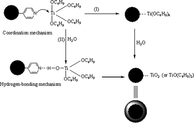 Controlled hydrolysis of TBOT over P(EGDMA-co-MAA)@P(EGDMA-co-VPy) seeds via the efficient interaction between pyridyl groups and titania species.