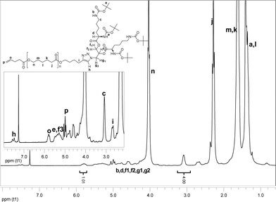 
          
            1H NMR spectrum of alkenyl-PCL-b-(di-Boc-l-lysine)G2 (6). The spectrum was recorded in CDCl3.