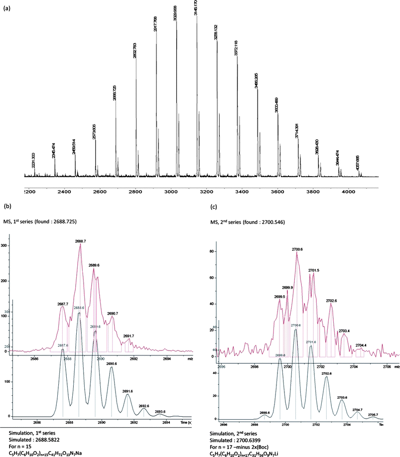 MALDI-TOF spectrum of alkenyl-PCL-b-(di-Boc-l-lysine)G2 (6): (a) full spectrum, (b) expansion (top) and simulation (bottom) of 1st-series, (c) expansion (top) and simulation (bottom) of 2nd series.