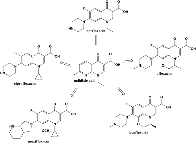 Several antimicrobial fluoroquinolones generated from the parent compound, nalidixic acid.