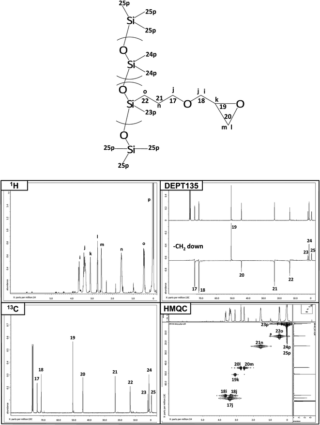 
            NMR characterization of Ep-PDMS.