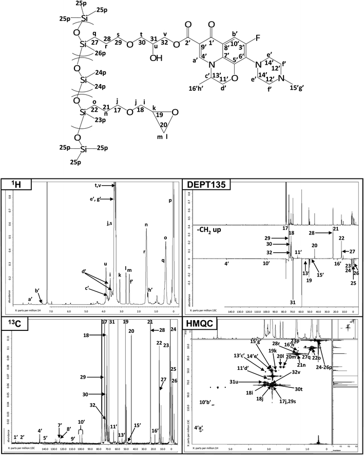 
            NMR characterization of levo-Ep-PDMS.