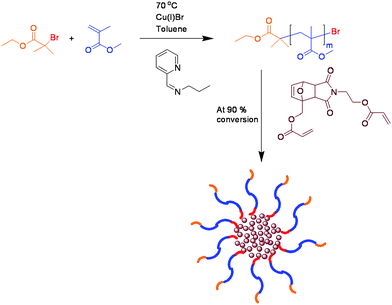 Synthesis of star polymer (13).