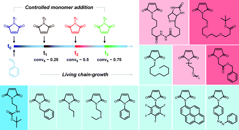 A concept for controlling sequences in a chain-growth polymerization: sequential atom transfer radical copolymerization of styrene and various N-substituted maleimides.54 The boxed structures show examples of N-substituted maleimides, which have been studied in this strategy.55 Color code: apolar monomers (light blue); monomers bearing a hydrophilic moiety (pink); monomers with a protected basic function (dark blue); monomers with a protected acidic function (red).