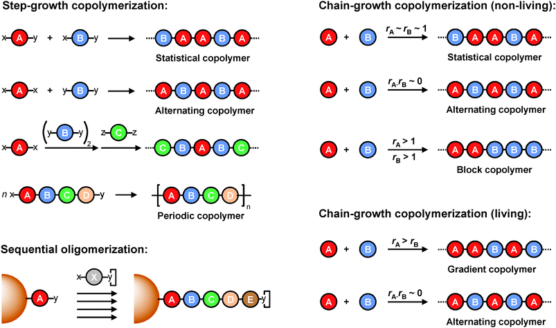 State of the art: microstructures attainable in standard synthetic polymerization processes. The capital letters A, B, C, D, and E represent different monomer units. The capital letter X represents any kind of monomer unit. The letters x, y, and z represent different types of reactive functions (x reacts with y; y reacts with z). The letter y included in a square box (bottom left) represents a protected y function. The symbols rA and rB represent the reactivity ratios of monomers A and B, respectively.