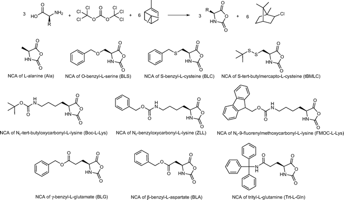 List of amino acid N-carboxy anhydrides (NCAs) applied in the polymerizations at 0 °C.