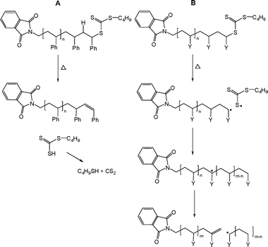 Mechanisms of thermolysis for RAFT polymer end group removal (Y = CO2C4H9).55