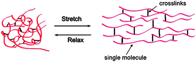 A general schematic of elastomeric proteins.