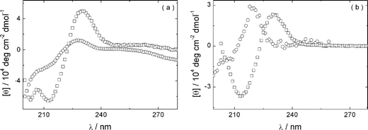 
            CD spectra for solutions of (a) YYKLVFF–PEG1k and (b) YYKLVFF–PEG3k: (□) 1 wt% and (○) 0.015 wt% solutions.