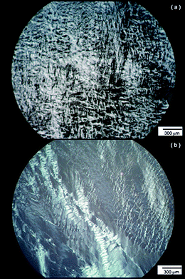 Polarized optical micrographs for (a) 8.2 wt% YYKLVFF–PEG1k and (b) 10.5 wt% YYKLVFF–PEG3k.