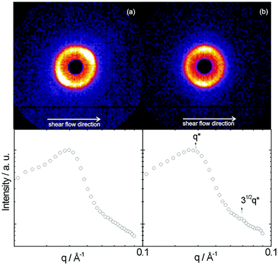 Top: SANS patterns for 10.5 wt% YYKLVFF–PEG3k. Bottom: one-dimensional profiles obtained from a circular sector integration for the sample (a) as mounted and (b) sheared at  = 2 s−1.