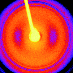 
            XRD pattern obtained from a dried stalk of YYKLVFF–PEG3k.